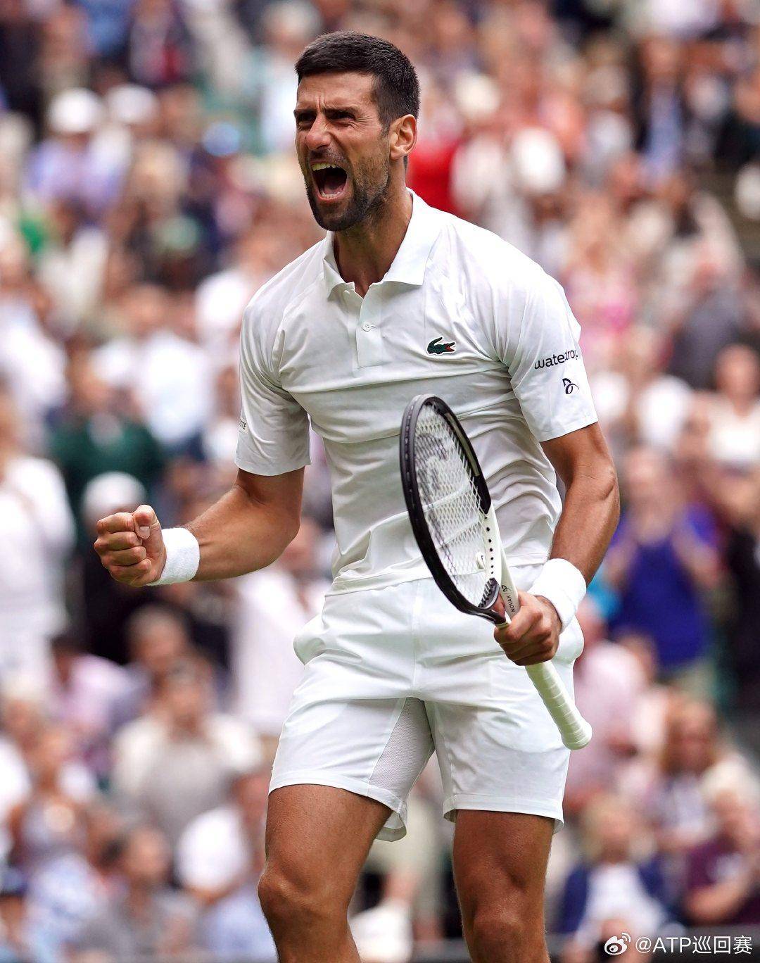 体育界的每 体育界的每